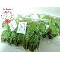 ราคา ใบกุหลาบ ใบไม้ ใบไม้ปลอม No 2 3 4 5 6 7 8 ใน 1 ห่อ มี 100 ใบ (1371682980)
