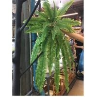 ราคา บอสตันช่อเฟิร์นปลอม ขนาด 90cm Godtree แต่งบ้าน แต่งสวน เฟิร์นปลอม เฟิน ปลอม (1359792144)