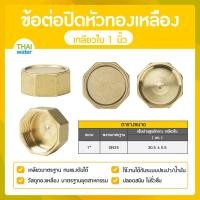 ราคา ข้อต่อปิดหัวทองเหลืองเกลียวใน หัวหกเหลี่ยมปิดท่อ ฝาปิดหัวทองเหลือง ข้อต่อทองเหลือง (19426218048)