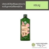 ราคา Yves Rocher Gentle With Organic Chestnut Milk Gentle Nourishing Shampoo 300 ml (20126681580)