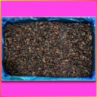 ราคา ขายส่ง แบบดิบ อัลมอนด์ 10 กก Wholesale Raw Almond 10 kg Raisins ลูกเกด เม็ดมะม่วงหิมพานต์ เมล็ดฟักทอง พิสตาชิโอ เมล็ดทานตะวัน Cashew Nuts Pumpkin Pistachios Sunflower (19806885295)