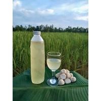 ราคา ลูกแป้งสาโท Sato 10ลูก 100 กระแช่น้ำขาว สูตรแท้ดั้งเดิม สาโท 1ลูก ข้าว2กก ได้น้ำ2ลิตร (20184205107)