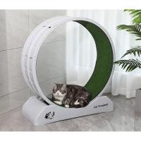 ราคา Boqi Factory ลู่วิ่งแมว ล้อวิ่งแมว โอเวอร์ไซส์ ของเล่นแมว ลู่วิ่งสัตว์เลี้ยง ของเล่นแมวอัตโนมัติ วงล้อแมว Running (19793716781)