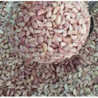 ราคา กระเทียมไทย กระเทียมกลีบไทย กระเทียมกลีบคัด กระเทียมคัด กระเทียม กระเทียมกลีบเล็ก ขนาด 200 กรัม (13461415102)