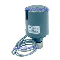 ราคา POLO PC 3B Pressure Switch สวิทช์แรงดันน้ำ 1 0 1 7Bar 220Vสวิทช์ควบคุมแรงดันน้ำ เพรสเชอร์สวิทช์น้ำใช้ติดตั้งกับปั๊มน้ำ อุปกรณ์ช่าง อุปกรณ์เครื่องมือช่าง (1396042839)