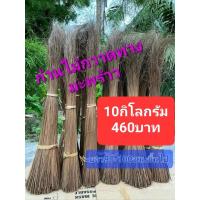 ราคา ก้านไม้กวาดทางมะพร้าว ก้านไม้กวาด ก้านมะพร้าว สูง90 100ซม ขึ้นไป 10กิโลกรัม (19859028491)