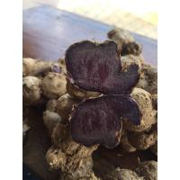 ราคา กระชายดำสด ขนาด1กิโลกรัม กระชายดำ กระชายดำหัวสด กระชายดำแท้100 กระชายดำสดๆ (19826995020)