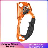 ราคา Hot Sale ตะขอเกียว คาราบิเนอร์ ตะขอเหล็ก ตะขอล็อค ตะขอพวงกุญแจ อุปกรณ์ปีนเขา อุปกรณ์ปีนต้นไม้ Rock Climbing Ascender 8 12mm Vertical Rope Access Climbing Rescue Caving carabiner (8957893613)