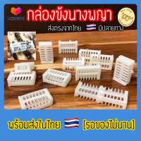 ราคา ส่งไว กล่องขังนางพญาผึ้ง กล่องกักนางพญา กล่องเลี้ยงผึ้ง ป้องกันหนีรัง มีปลายทาง จับผึ้ง ขังนางพญา อุปกรณ์เลี้ยงผึ้ง (9530773620)