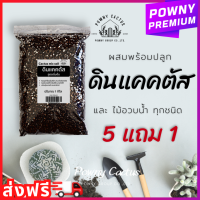 ราคา ดินแคคตัส ดินปลูกแคคตัส ดินพร้อมปลูก ดินปลูกกระบองเพชร ดินปลูกไม้อวบน้ำ ดินผสมสำเร็จ สูตรโปร่งพิเศษ รากเดินดี ดินปลูกแคตตัส (19770544900)