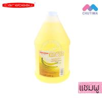 ราคา แคร์บิว แชมพู ครีมนวด บำรุงเส้นผม Carebeau Shampoo Conditioner 3000 g (2041344436)