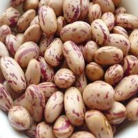 ราคา Pinto Beans ถั่วแดงลายเสือ 500g (20315188697)