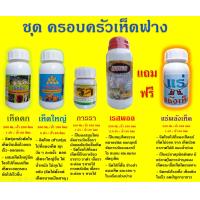 ราคา ชุดครอบครัวเห็ดฟาง ในชุดจะมี 5 ขวด คือ ฮอร์โมนเห็ดดกฮอร์โมนเห็ดใหญ่ สมุนไพรการรา สมุนไพรเรสพอล แถม ฟรี แร่พลังเห็ด ครบเซ็ตเห็ดฟาง (9988455492)
