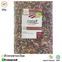 ราคา ข้าวสามสี 3RICE BLEND ข้าวกล้อง3ชนิด ไรซ์เบอร์รี่ กล้องกข 43และกล้องมะลิแดง ตราไก่สีทอง Organic ปลอดสาร 1 กก (19243045882)