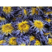 ราคา Blue lotus บัวสีน้ำเงิน ดอกแห้ง 100 กรัม 100 grams (17734327859)