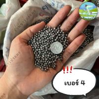 ราคา ลูกตะกั่ว ขายเป็นกิโล เบอร์ 1 8 ตะกั่วนก ตะกั่วหนู ตะกั่วเม็ด ตะกั่ว (18838930611)