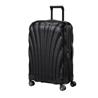 ราคา SAMSONITE กระเป๋าเดินทางล้อลาก 25 นิ้ว รุ่น C LITE SPINNER 69 25 (7169606368)
