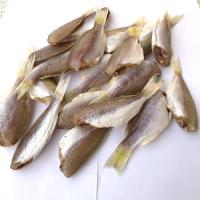 ราคา ปลาแดงแดดเดียว คละไซค์ 300 กรัม (14591680312)