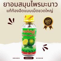 ราคา ลูกอมอมมะนาวเเก้เจ็บคอ เเก้ไอระคายคอ เเท้ 100 KABAR HEIN ช่วยย่อยอาหาร มะนาว ส้มบ๊วยขิง บ๊วยเเห้งมะนาวอัดเม็ด ขนมพม่า (19082644036)