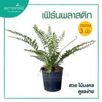 ราคา เฟิร์นพลาสติก กระถาง 3 นิ้ว ต้นไม้ฟอกอากาศ ต้นไม้ในร่ม ต้นไม้ในบ้าน ต้นไม้ (19284090215)