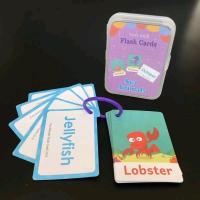 ราคา แฟลชการ์ด flashcard ก ฮ บัตรคำศัพท์ 45 บัตรคำภาษาอังกฤษ เกมส์ทายภาพ สื่อการเรียนการสอน เสริมพัฒนาการเด็ก แฟลชการ์ดคำศัพท (16118846113)