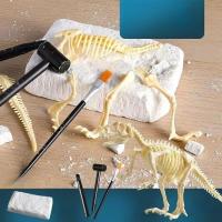 ราคา ฟอสซิลไดโนเสาร์ ชุดขุดฟอสซิลไดโนเสาร์ DIY ของเล่นไดโนเสาร์ กระดูกไดโนเสาร์ ของเล่นเด็ก ช่วยฝึกสมาธิ (20174111468)