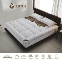 ราคา LOTUS ที่นอนนุ่มสบายกว่าขนห่านเทียม ที่นอนนาโน คลาวด์ไฟเบอร์ รุ่น Ayame Cloud หนา 4 นิ้ว จัดส่งฟรีในกล่อง (20153760069)
