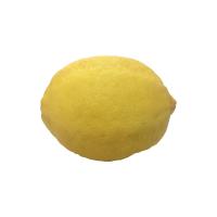 ราคา เลมอน เลม่อน มะนาวเหลือง Lemon เบอร์คั้นน้ำ เบอร์สวย ผักผลไม้สดนำเข้า มะนาวเหลือง ลูกเลม่อนสด ผลเลม่อน เลมอน (20349274031)