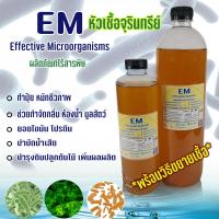 ราคา EM อีเอ็ม หัวเชื้อจุลินทรีย์ พร้อมวิธีขยายเชื้อ หมักปุ๋ย ดับกลิ่น ห้องน้ำ มูลสัตว์ กองขยะ บำรุงดิน ย่อยสลายไขมัน (14650091438)