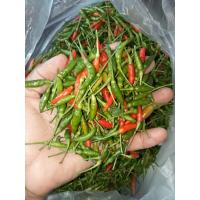 ราคา พริกสดพริกขี้หนูสวนขนาดครึ่งกิโล (20024970547)