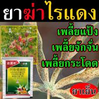 ราคา กำจัดไรแดงทันที ยากำจัดไรแดง ยาฆ่าแมลง หนอน เห็นผล100 ปราบศัตรูพืชใน ส้ม หอม กระเทียม ทุเรียน ดอกไม้ และไม้ผล กำจัดไรแดง ประเภทไร ไรแดง ไรขาว ไรสนิม ไรกำมะหยี่ กำจัดไรแดง ทุกชนิด ยากำจัดเพลี้ยไฟไรแดง 