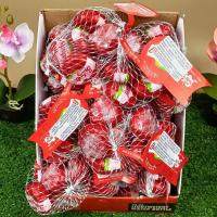 ราคา พร้อมส่ง เบบี้เบล มินิ ชีส เนยแข็ง ชนิดโพรเซสชีส 110 กรัม 5 ชิ้น ชีสแดง (16614176485)