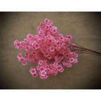 ราคา Hodepart กิ่งก้านดอกซากุระเทียม ช่อซากุระปลอม ช่อดอกซากุระ ช่อซากุระประดิษฐ์ ตกแต่งงานแต่งงาน ตกแต่งบ้าน (19725126820)