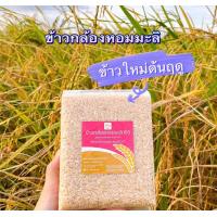 ราคา ข้าวรุ้งทอง ข้าวกล้องหอมมะลิ พันธุ์ดอกมะลิ 105 แท้100 ข้าวน้ำตาลต่ำ ส่งตรงจากชาวนา ไม่ใช้ยาฆ่าแมลง ขนาด 1 กิโลกรัม ไร่รุ้งทอง (9176444473)