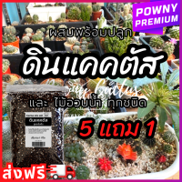ราคา ดินปลูกแคคตัส ดินพร้อมปลูก ดินแคคตัส ดินปลูกกระบองเพชร (20051155026)