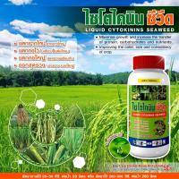 ราคา ไซโตไคนิน ซีวีด เปิดตาดอก แตกตาดอก แตกยอดใบ ขยายใบ ใบใหญ่ สมบูรณ์ ขยายขนาดผล ด่วน ทันใจ ทนอากาศ ร้อนจัด หนาวจัด ขนาด 1 ลิตร (19734180433)