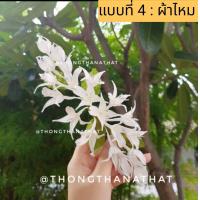 ราคา ดอกปีบ 7แบบ ดอกไม้ติดผม ดอกไม้ประดิษฐ์ ดอกไม้ปักผม ดอกไม้รำไทย ดอกไม้แต่งผม ดอกปีบติดผม ดอกไม้คาดผม ดอกไม้รำงานย่า ย่าโม (17545079319)