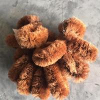 ราคา แปรงขัดล้อกาบมะพร้าว แปรงขัดล้อใยมะพร้าว แปรงขัดล้อขนมะพร้าว 1 อัน สีดำหรือสีน้ำตาล (6914948670)