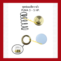 ราคา ชุดซ่อมเช็ควาล์ว เครื่องปั๊มลมลูกสูบ ใช้สำหรับเครื่อง PUMA ขนาด 3 5 HP (15930846111)