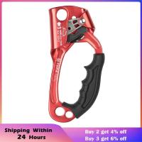 ราคา Hot Sale ตะขอเกียว คาราบิเนอร์ ตะขอเหล็ก ตะขอล็อค ตะขอพวงกุญแจ อุปกรณ์ปีนเขา อุปกรณ์ปีนต้นไม้ Rock Climbing Ascender 8 12mm Vertical Rope Access Climbing Rescue Caving carabiner (8957893615)