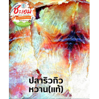 ราคา ปลาริวกิวหวานแผ่น แผ่นใหญ่ เนื้อนุ่ม อร่อย หวานไม่มาก (17518421938)