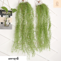 ราคา พุ่มไม้เลื้อยเคราฤาษีประดิษฐ์ พวงเคราฤาษีประดิษฐ์ พุ่มเคราฤาษีปลอม ตกแต่งผนัง ตกแต่งกำแพง ตกแต่งสวน (8174931461)