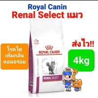 ราคา Royal Canin Renal 4 kg Renal Select 4kg แมวโรคไต แมวเลือกกิน สูตรเพิ่มกลิ่น โรยัลคานิน ขนาด 4 กิโลกรัม (16492093651)