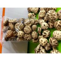 ราคา เห็ดหอมญี่ปุ่น น้ำหนัก 200 กรัม เกรดอย่างดี ดอกหนา ลายสวย ขาว (7790474221)