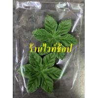 ราคา ใบผ้า 3 แฉก ใบผ้า 6 แฉก 100 ใบ (19482437856)