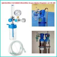 ราคา yymall ชุดเกจ์ออกซิเจน ทางการแพทย์ ปรับออกซิเจน Oxygen Medical Regulator set YR 88 (12147868079)