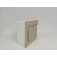 ราคา สวิทซ์กดเปิดประตูสำหรับ Access Control สีทอง พร้อม Box (528934014)