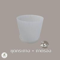 ราคา กระถางรอนใส ขุ่น ชุดกระถาง พร้อมถาดรอง เกรดพรีเมี่ยม หนา ดีไซส์สวย 4 5 7 นิ้ว (17426467877)