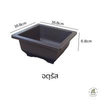 ราคา กระถางแคคตัส กระถางบอนไซ กระถางกระบองเพชร กระถางพลาสติก กระถางทรงผืนผ้า ทรงจตุรัส (17433391459)