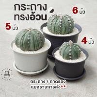 ราคา กระถางแคคตัส กระถางกระบองเพชร กระถางพลาสติก ถาดรอง ทรงอ้วน ขนาด 4นิ้ว 5นิ้ว 6นิ้ว (18325358987)